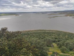 Flora del Cerro Masatrigo